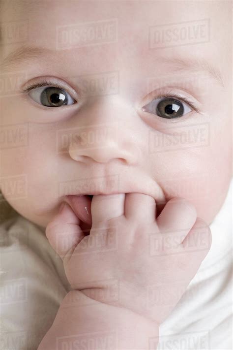 A Baby Sucking On His Fingers Stock Photo Dissolve