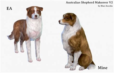 Australian Shepherd Makeover V2 At Blue Ancolia Sims 4 Updates