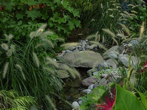 Maybe you would like to learn more about one of these? Build Your Own Garden Dream Stream - Room Elegance