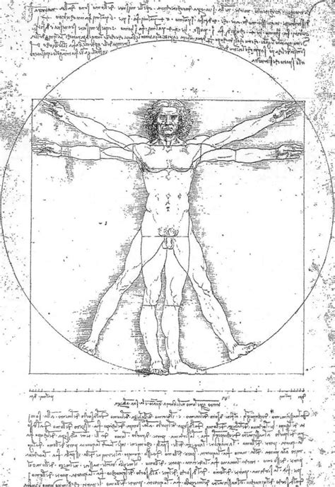 Leonardo Da Vinci Vitruvian Man In Luca Antoccia Leonardo Art