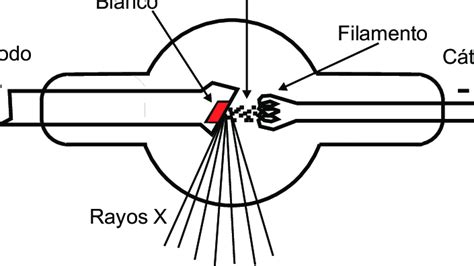 Diagrama De Rayos X