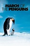 March of the Penguins (2005) - Luc Jacquet | Synopsis, Characteristics ...