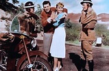 Italienreise – Liebe inbegriffen (1958) - Film | cinema.de