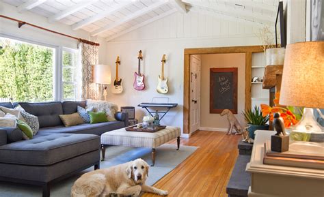 Pet Friendly materials for interiors | Pet friendly living room, Home