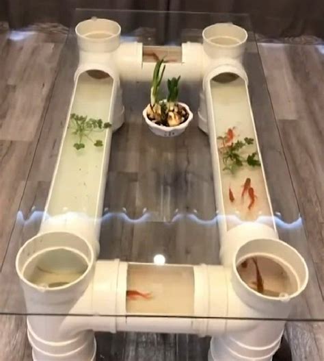 All majestic bird and reptile cages, hoods and stands come standard in solid oak wood material with one of the four stain colors shown left, or hard maple wood finished with black or white paint. Fish tank coffee table! | Fish tank coffee table, Diy ...