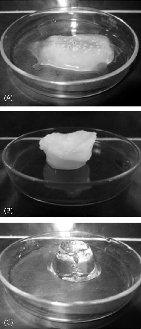 Polyacrylamide Cellulose Acetate Paam Ca Hydrogels Obtained By