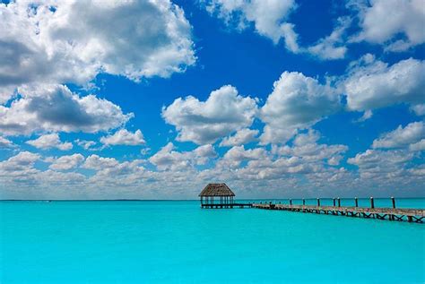 Holbox Tour From Cancun All Inclusive Nichupté Tours