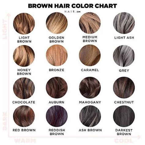Top Ash Brown Hair Color Chart