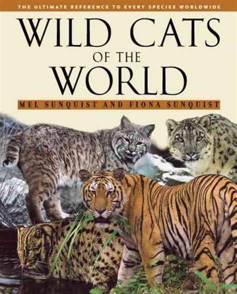 Wild Cats Of The World Npr