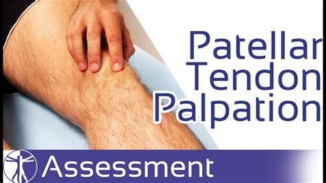 Patellar Tendon Palpation Patellar Tendinopathy Youtube