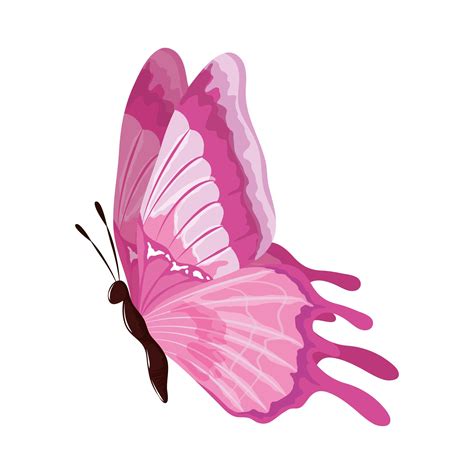 Decorative Pink Butterfly 2468429 Vector Art At Vecteezy
