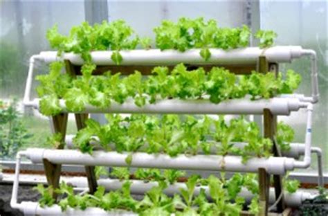 Here we have a growing list of free hydroponic system design plans to help give you some ideas for building your own systems. Hydroponic Design-How To Plans,Systems