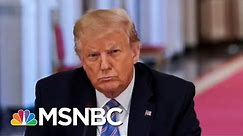Steve Schmidt On Why Many Republican Voters Are Splitting From Trump | Deadline | MSNBC