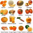 Orange Fruits And Vegetables List