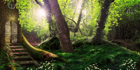Download Magical Forest Wallpaper Sf By Tomw Magic Forest