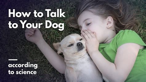 How To Talk To Your Dog According To Science Youtube