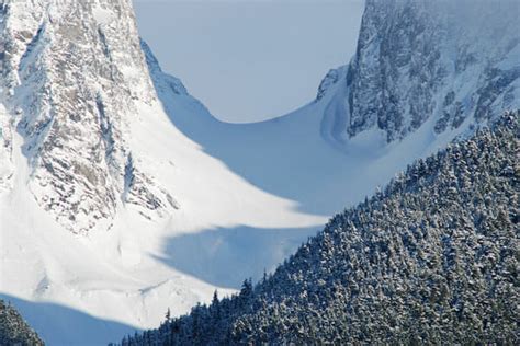 Alaskayukon Nature Joe Ordóñez