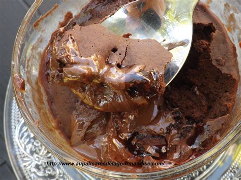 Mug Cake Nature Sans Farine
