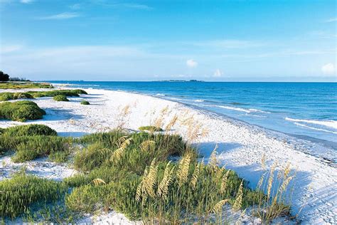 P Free Download Fort Desoto Beach St Petersburg Florida Beach Florida Warm Sand Ocean