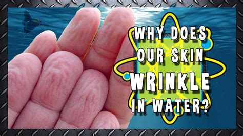 why do our hands get wrinkly in water youtube