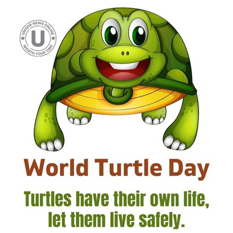 World Turtle Day 2022 Best Quotes Posters Images And Messages To