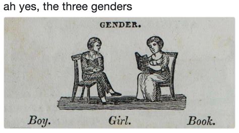 The Meme War To Determine How Many Genders There Are By Miles Klee Mel Magazine Medium