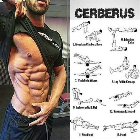Best Abdominal Exercises Ab Muscle Building