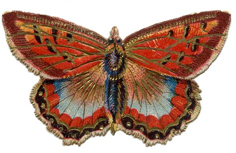 Antique Graphics 2 Colorful Butterflies The Graphics Fairy
