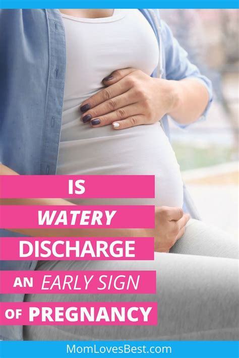 Watery Discharge Sign Of Pregnancy Cervical Mucus An Early Pregnancy