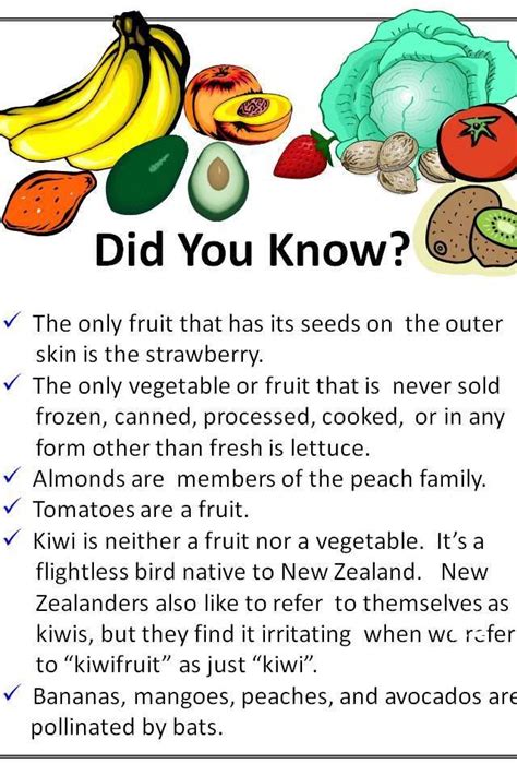 Fun Facts About Fruits And Vegetables For Kids Fun Guest