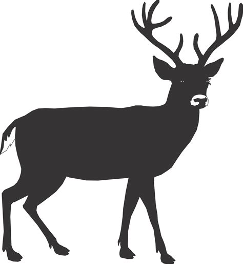 5087 pictures for free download #zoo clipart black and white. deer outline clipart black and white - Clipground