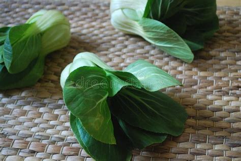 Fresh Chinese Cabbage Bok Choy Stock Image Image Of