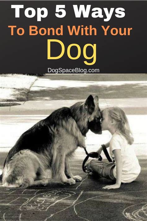 Pin On Best Of Doglovers