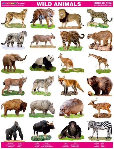 Top 198 Animals Photos Chart