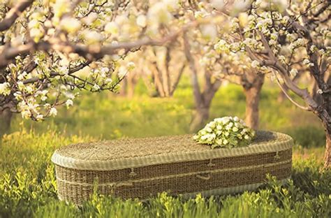 Alternative Funerals And Woodland Burials