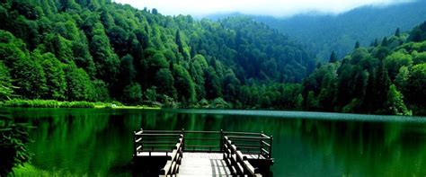 Önceki dönem artvin milletvekili metin arifağaoğlu, chp artvin i̇l başkanı ahmet biber, borçka belediye başkanı ercan orhan, hopa belediye başkanı taner ekmekçi ile birlikte chp il ve ilçe yöneticileri yer aldı. Artvin'de doğayla iç içe olmak isteyenlerin tercihi ...