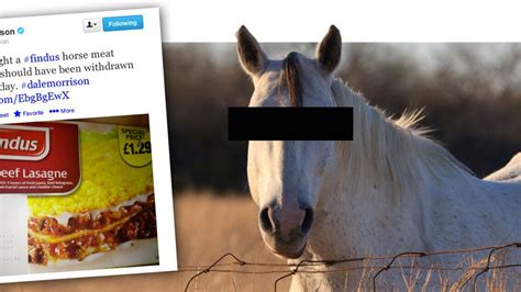 Horse Meat Conspiracy Theories From Vegetarian Vendetta To Obesity