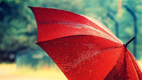 Macro Red Umbrella In The Rain Hd Wallpaper