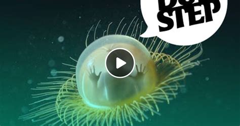 Reposters Of Jld 84 Myles Away By Jaime Le Dubstep Podcast Mixcloud