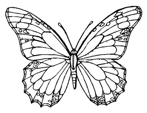 Hard Butterfly Coloring Pages At Getdrawings Free Download