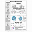 Wandkarte Atombau-Atommodelle / Molekülmodelle / Chemie Lehrmittel ...