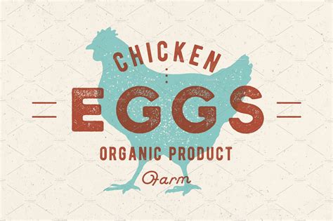 Chicken Eggs Vintage Hand Drawn Logo Animal Illustrations ~ Creative