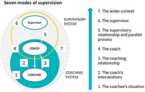 Coaching Supervision Powerful Flexible Learning For Business