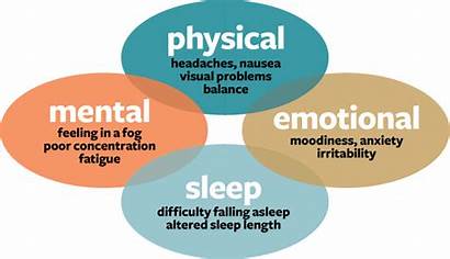 Concussion Facts Symptoms Effects Physical Physiotherapy Different
