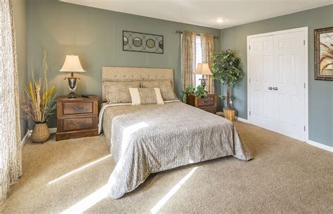 If you've got the money to change out your carpeting every time a trend changes, you may not need a neutral taupe carpet. Featuring Chenille 25 oz. Carpet in Saddle | Bedroom ...