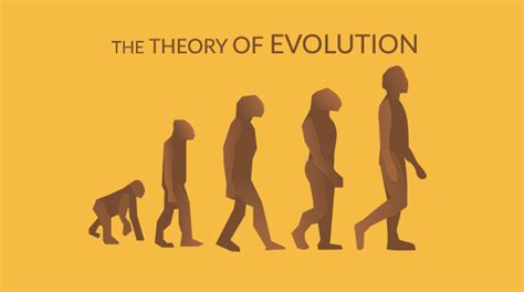 Theory Of Evolution Charles Darwin And Natural Selection Earth How