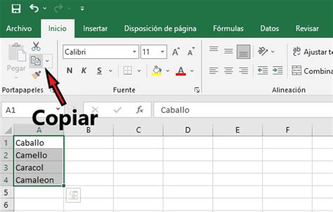 Cómo Copiar Y Pegar Celdas En Excel