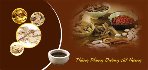 Thống Phong Dưỡng Cốt Thang Bài Thuốc Đông Y đặc Trị Bệnh Gút An