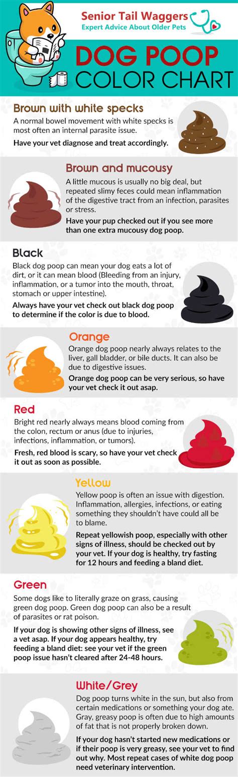 Yellow Dog Vomit Color Guide Concepcion Nealy
