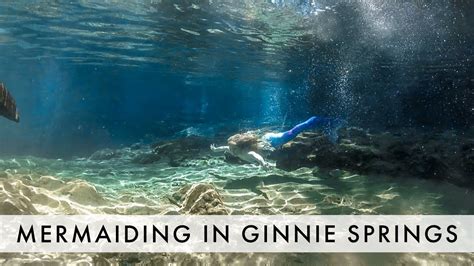 Ginnie Springs Mermaiding Youtube